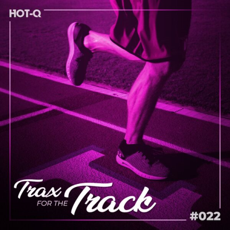 e8d32913 a4b1 4702 a02a 6a432226e259 - VA - Trax For The Track 022 (2023)