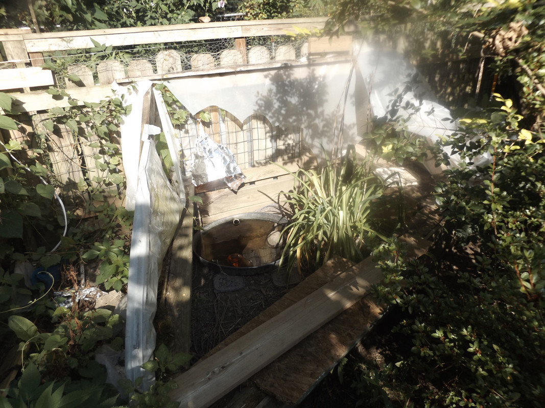 DSCF6588.jpg