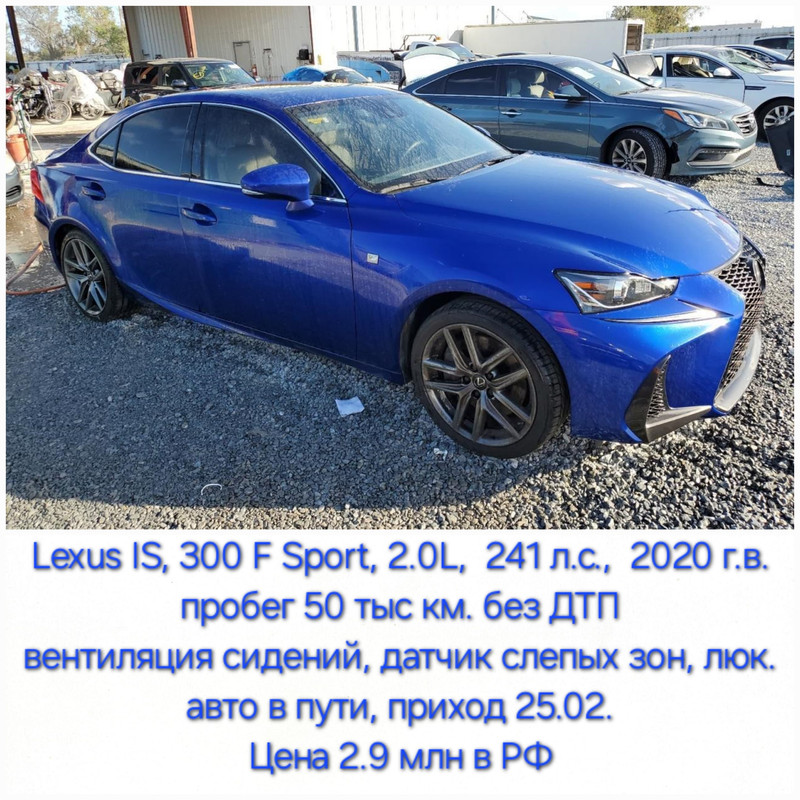 Изображение WhatsApp 2025-02-06 в 16.39.56_57f2d553