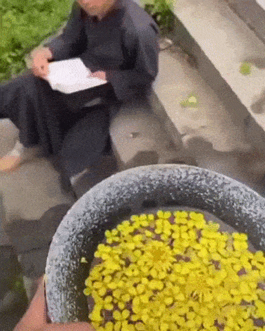 daily-gifdump-3388-30.gif