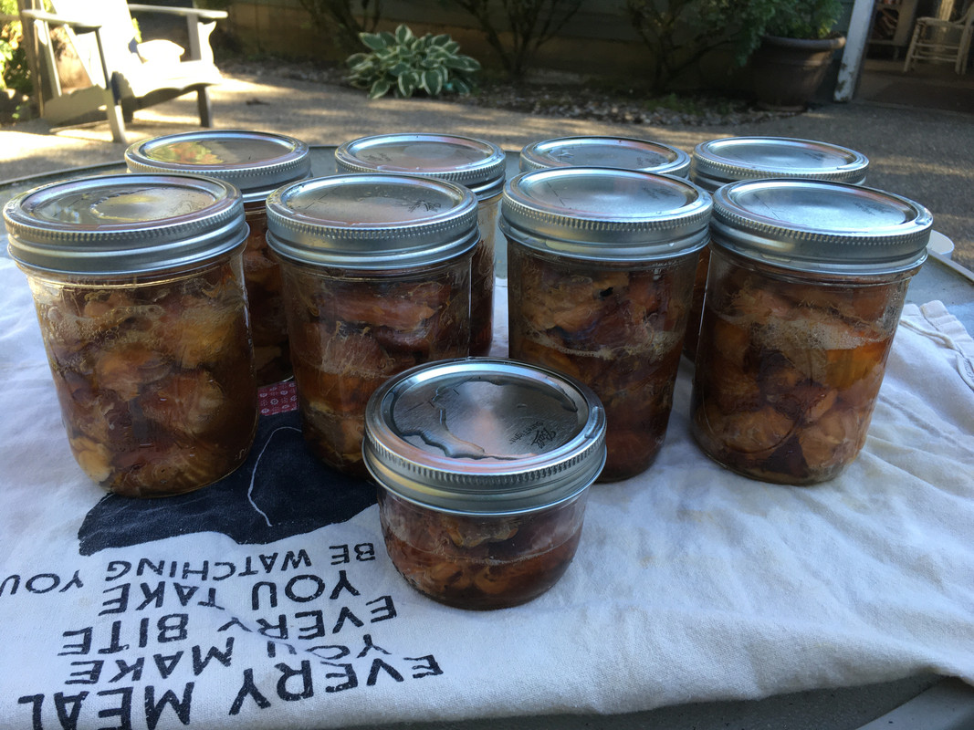 7CF14637-7B29-41DB-AAA4-B71437E050EF