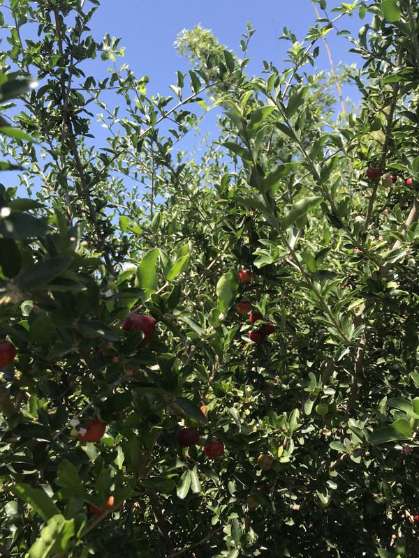 1F60057D-8599-4A87-8870-EDC39DF3BBA1