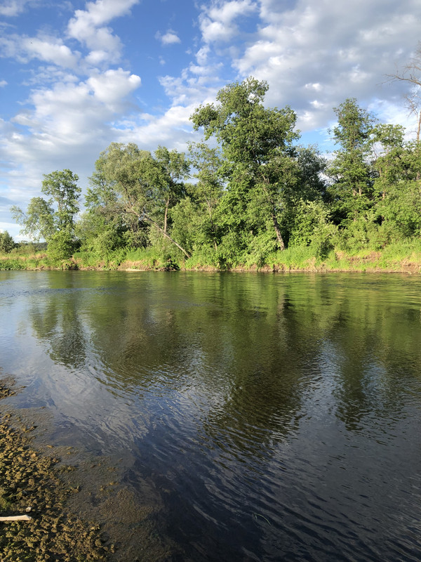 0D20CDDA-5CAF-49CF-A663-405BCA3A00FF