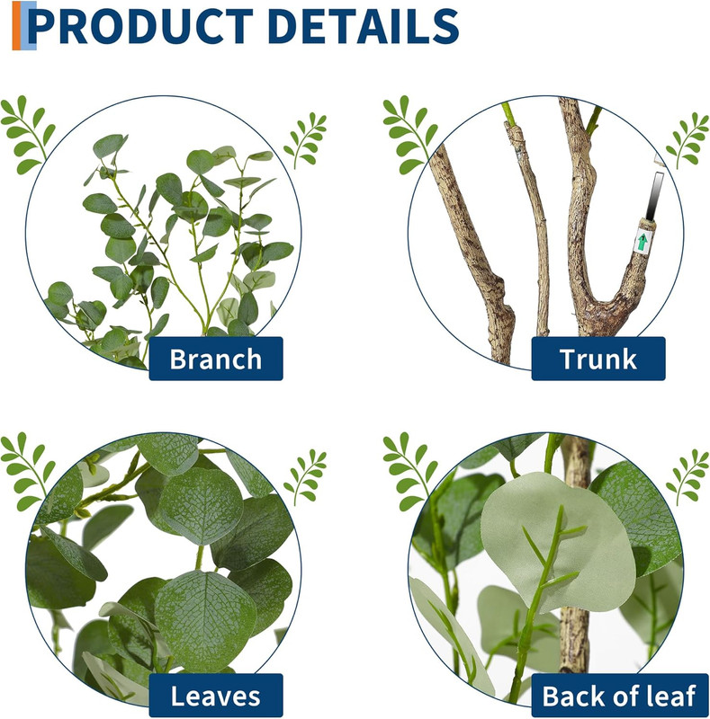 81s PTVw Y2c L AC SL1500