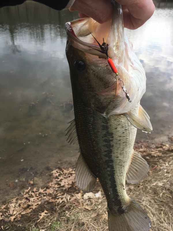 83274EAE-EC07-45BB-94B2-23C70DF10E3B