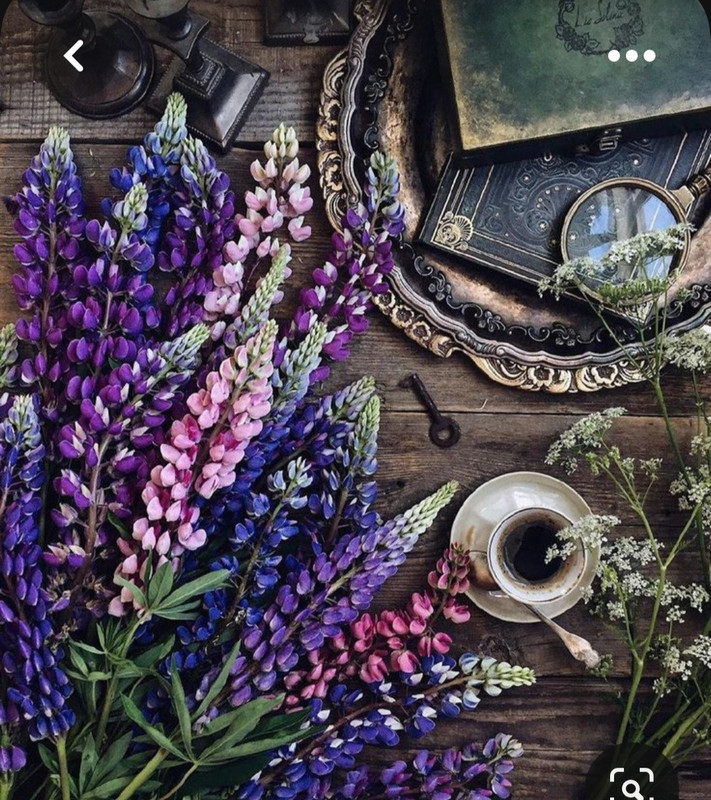 Screenshot_20230622_005757_Pinterest