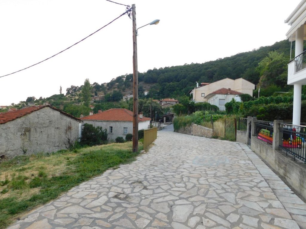 Slika