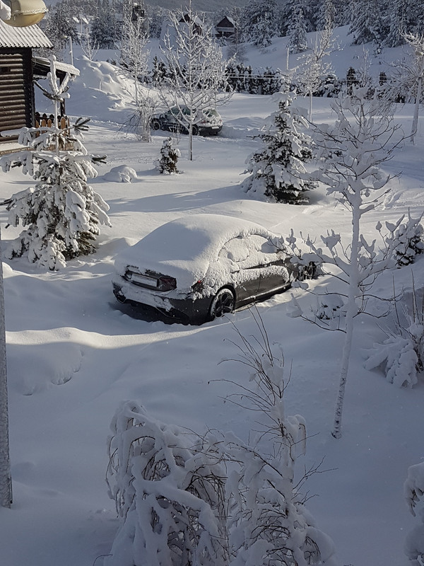 20190123_083016