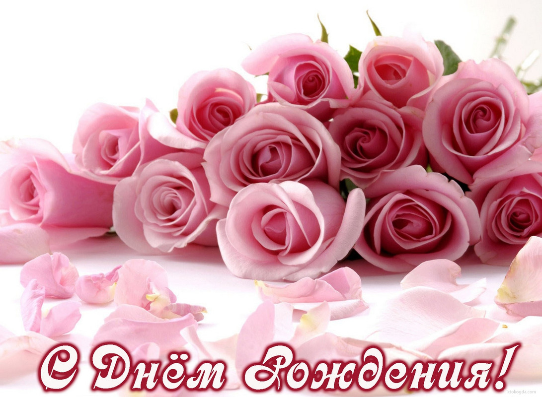 https://i.postimg.cc/1XPjD7sv/Den-Rozhdeniya.jpg