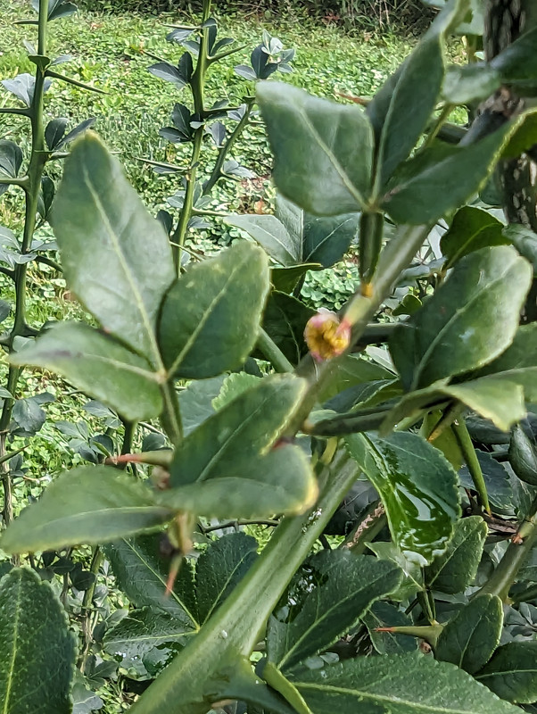 PXL_20230925_143601138
