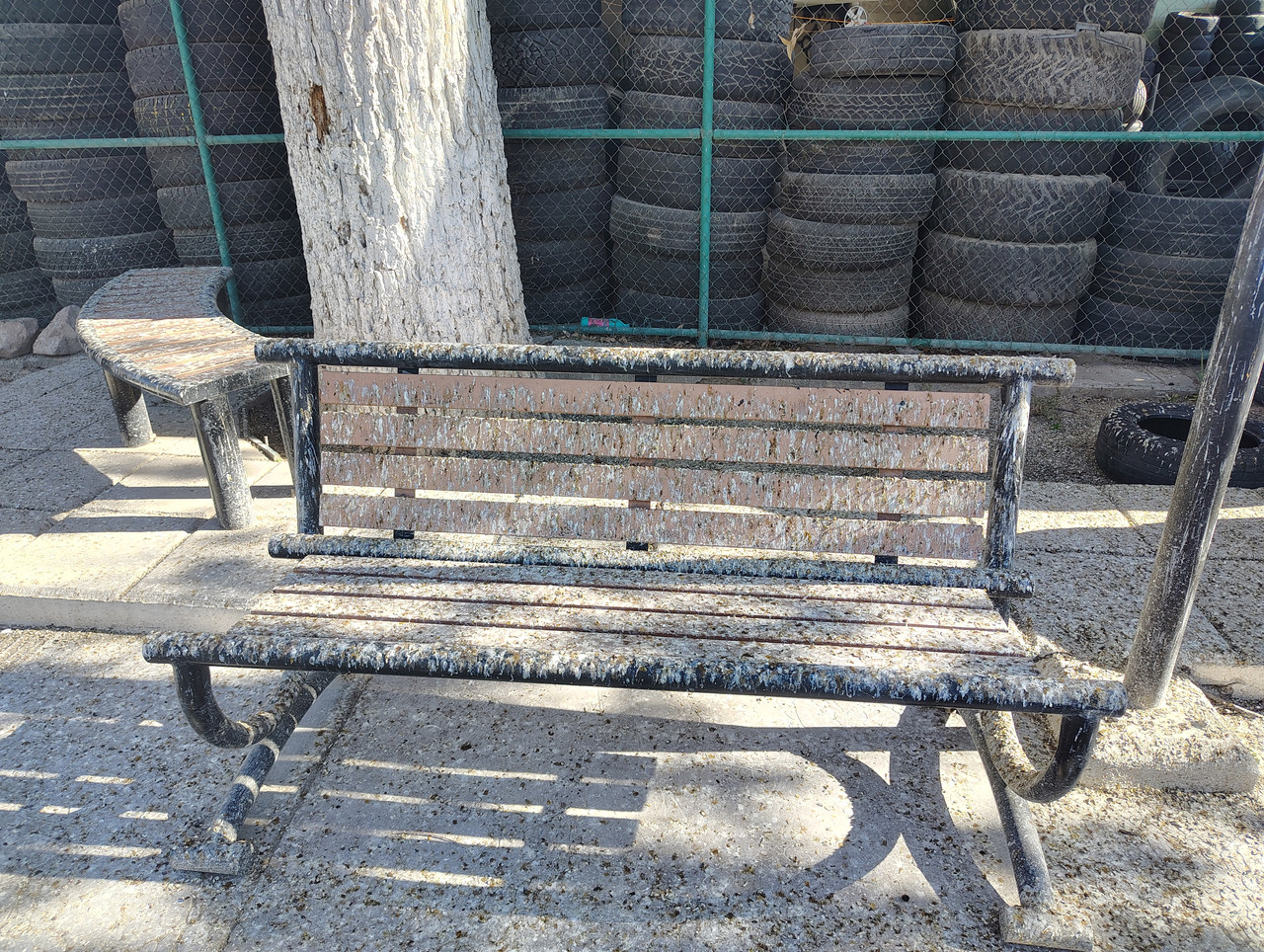 IMG 20260315 164331435 HDR