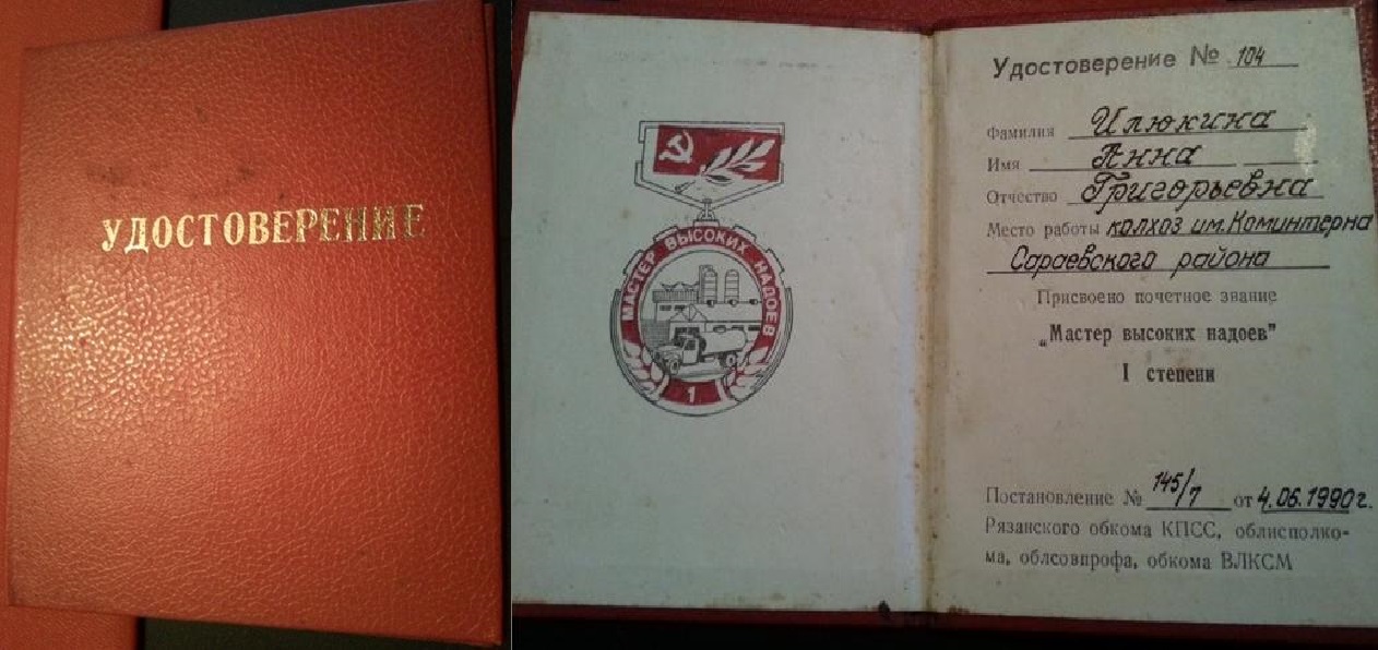 (11) мастер высоких надоев 1 степени 1990