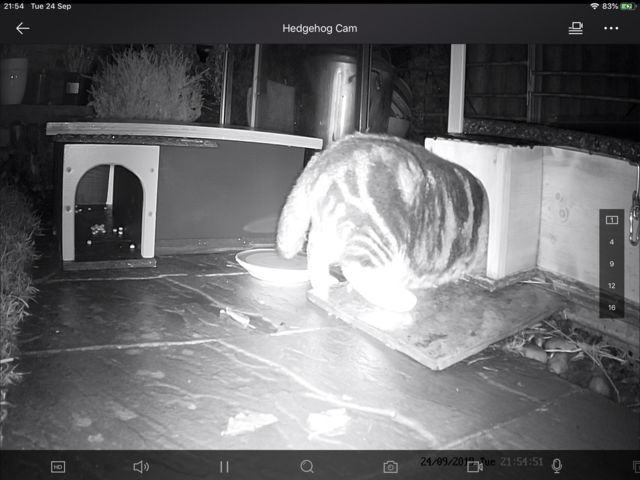 621015D6-2323-4E02-A96F-90EC8F3820B0