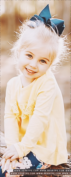 ���� ���� ������ �� ���� ������