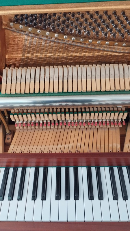 c9b9d678-5670-11ef-abc9-573de3042ee3