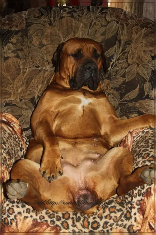 MDKoj0NBQc8Yni-ZDs6H9idcnJEWk5SshMFlWBSCAVf8Ya8NWmaN5di0wxhh1X2AqsByQmYIV1ga6_EICVzduIm-