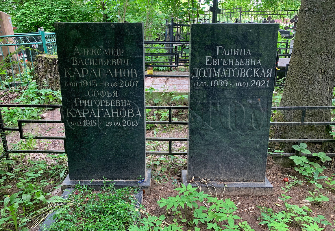 karaganov-av-new-2
