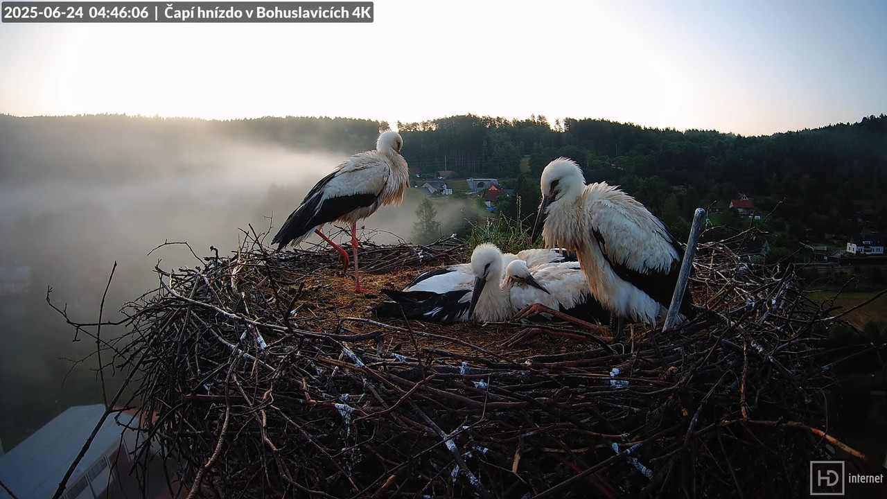 Tiešraide no KARA uzņēmuma stārķu skursteņa Bohuslavicē netālu no Trutnovas 8-16-44 screenshot