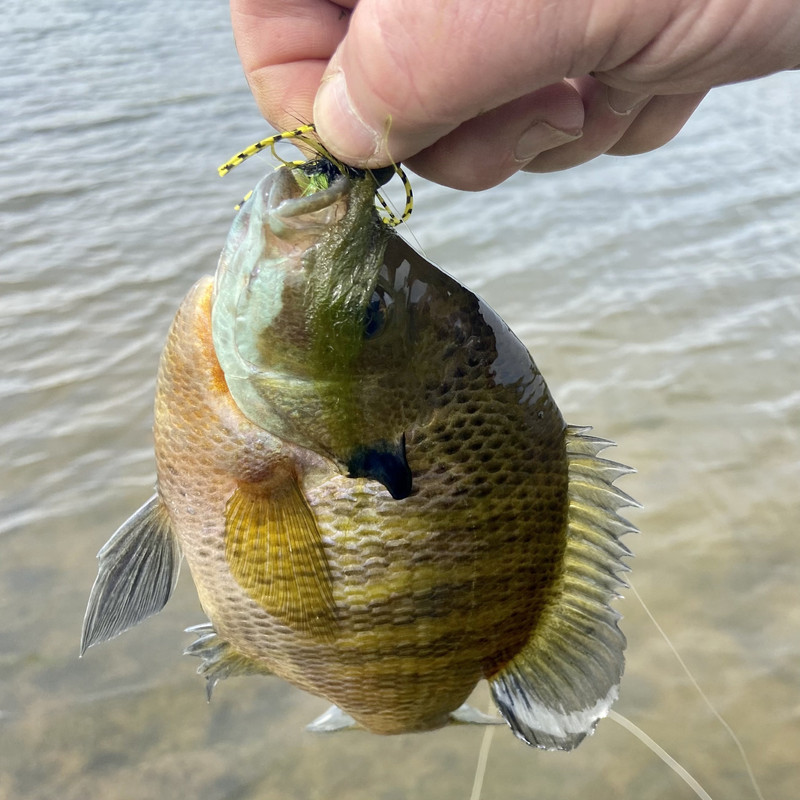 99EAE5AD-DAB5-4FB2-AFB7-E866E76CC0C6_1_201_a