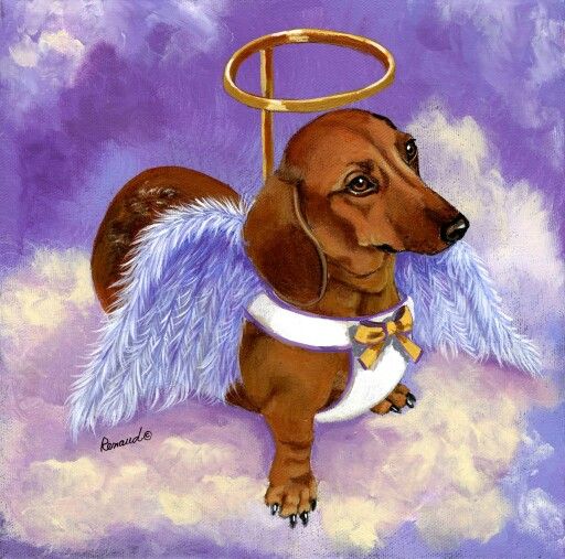 [Image: Dachshund-Angel-jpeg.jpg]