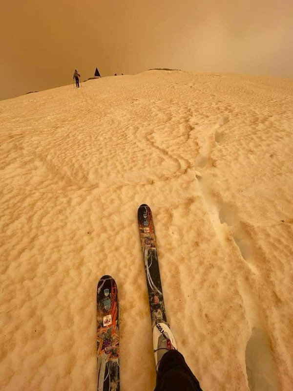 5564EF86-E212-4B92-B3CF-EA00E33D83F9