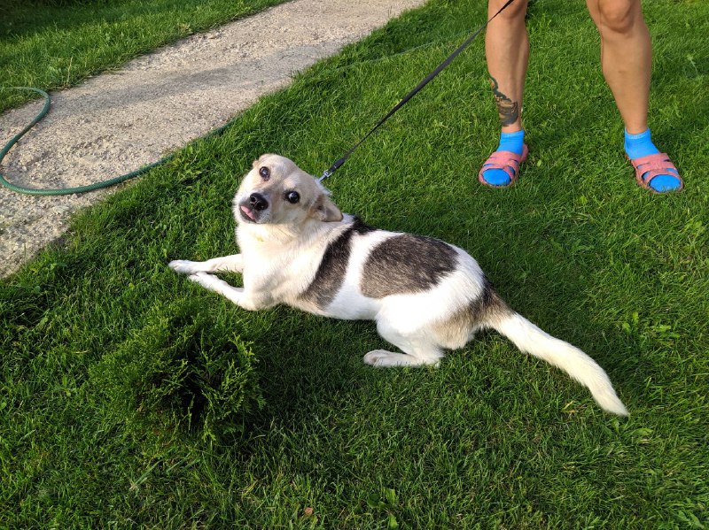 ee3b1cad-cd31-4f91-893e-82b3829e18b0