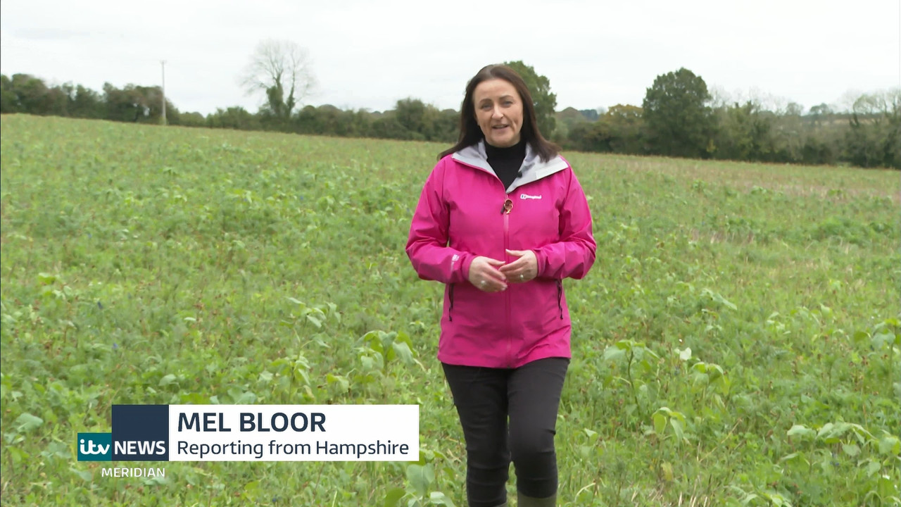 11.10 - 18.00.00 - ITV News London. The latest news in London and the....ts_snapshot_17.54.292
