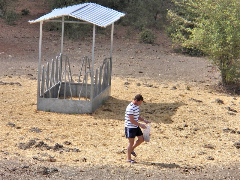 Cuenca y sus pueblos-2009/2011/2015/2016/2017 - Blogs de España - Barranco de los Cortados-3-9-2011 (24)