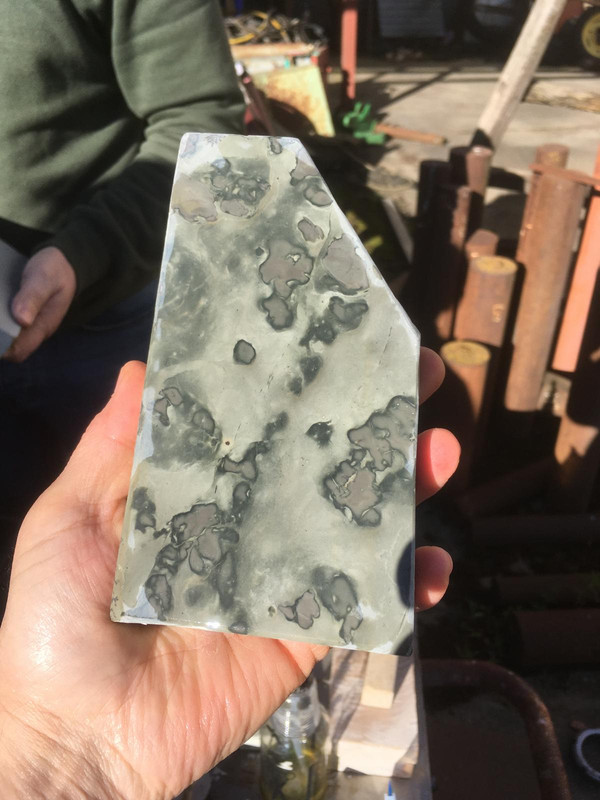 UTF-8IMG-20250427-WA0070