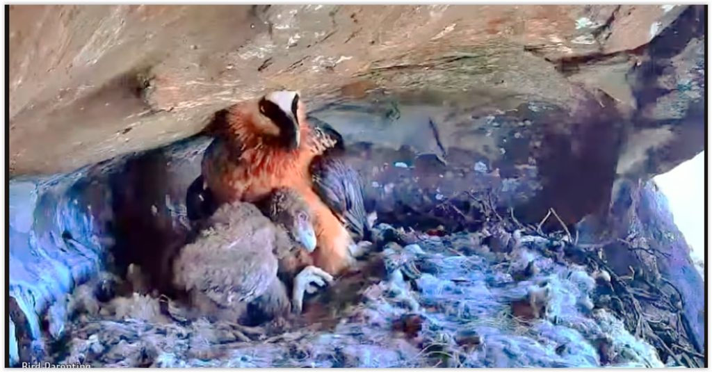 Screen Shot 09-30-25 at 09.05 AM