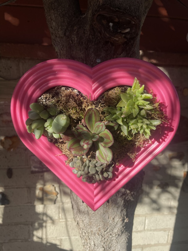 B2ADFB68-C4EF-4B55-8ACB-38498978F5F8_1_105_c