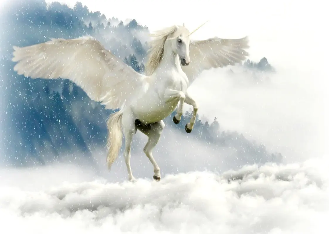 white-unicorn-2875349-1280.webp