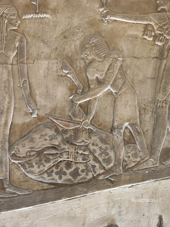 Ленивый Египет (Хургада, Луксор, Каир), декабрь 2025 - январь 2026