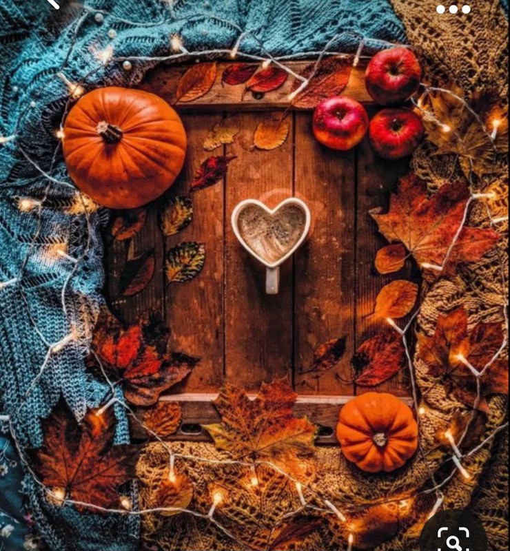 Screenshot_20231008_215316_Pinterest