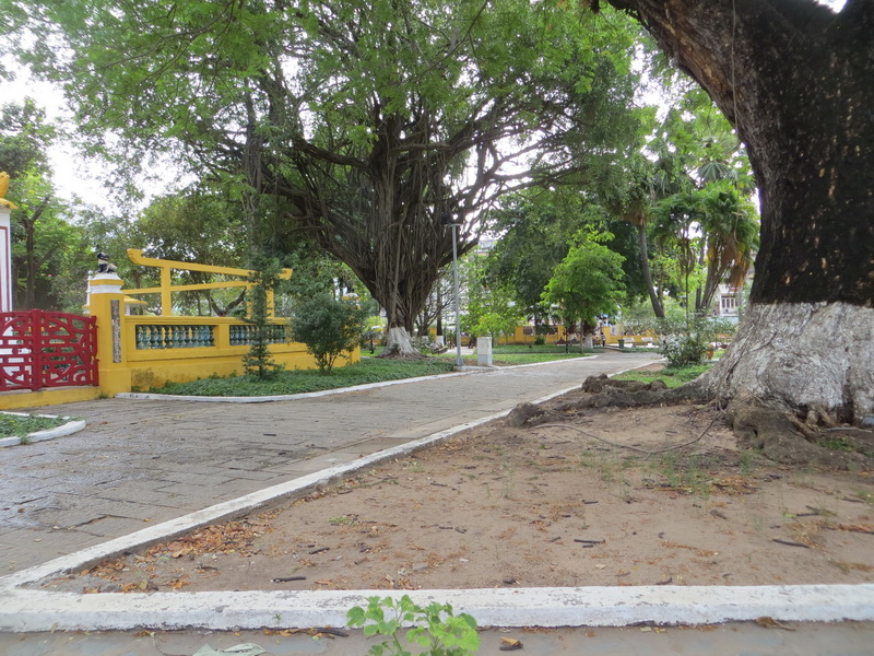 [Image: IMG-6888.jpg]