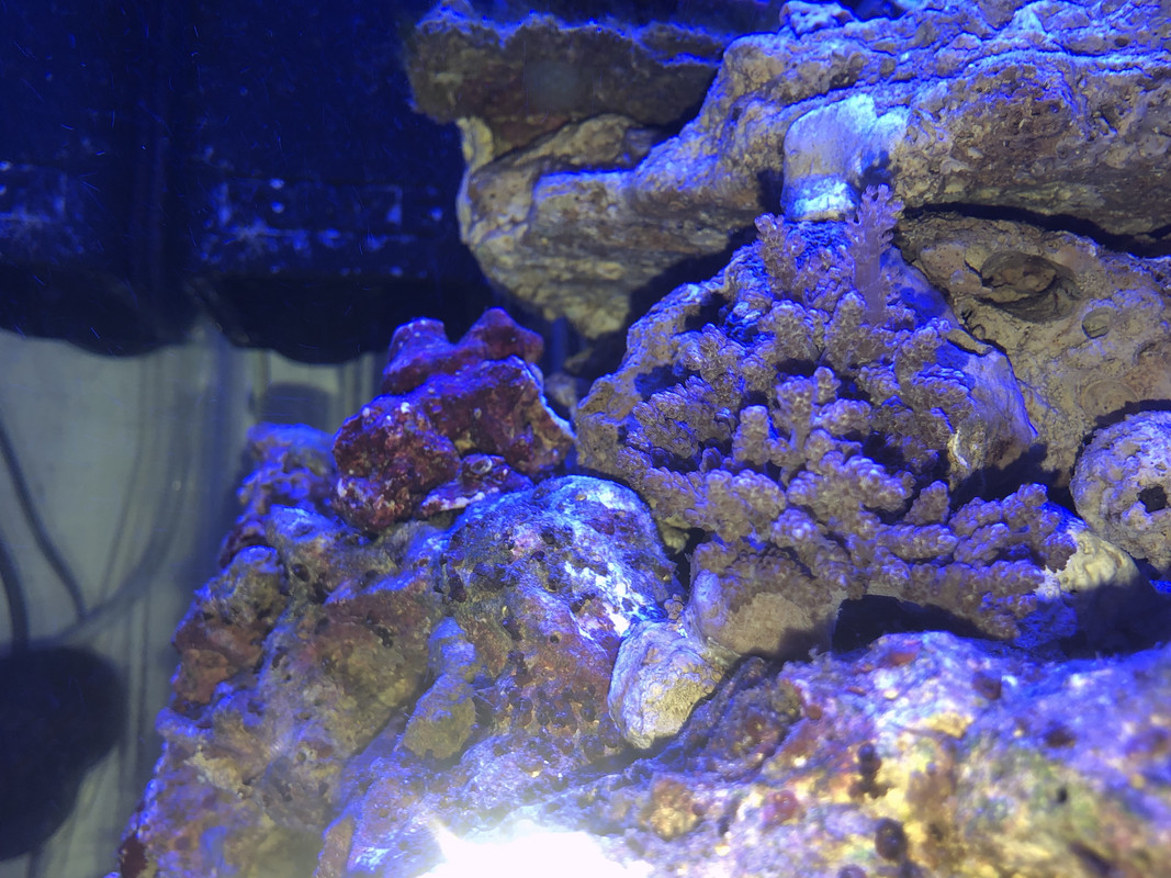 D75A5EEC-97B1-4968-B54E-4E1E06A571F1