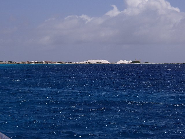 BONAIRE - Buceo+ Snorkel + Relax - Blogs de Caribe - Buceo en Calabas y The Lake. Snorkel. (5)