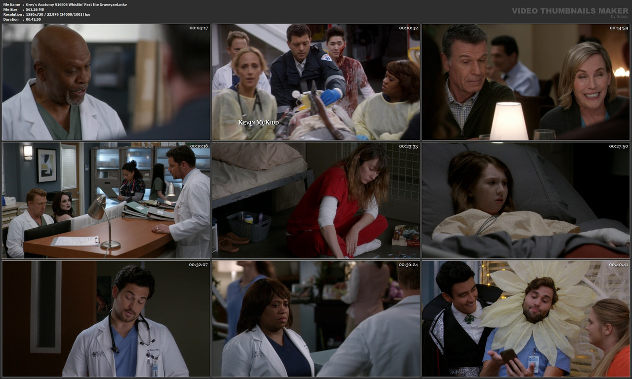 Grey's Anatomy S16E06 Whistlin' Past the Graveyard.mkv