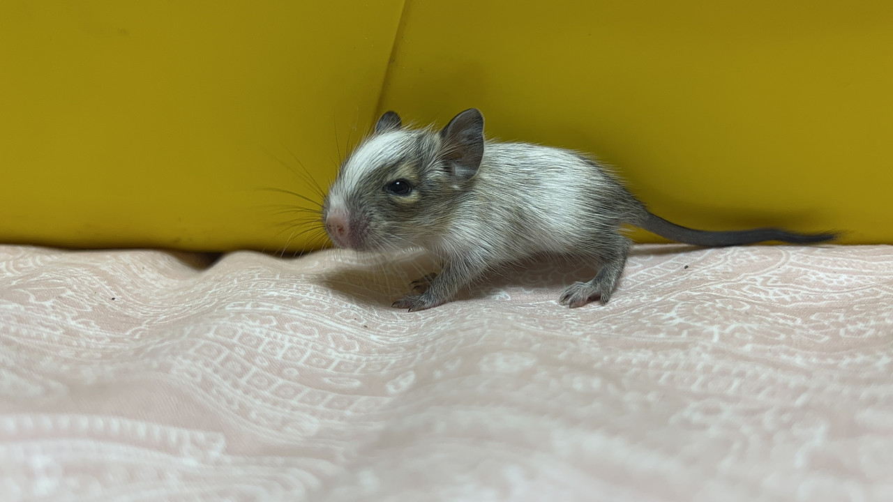 A264C922-2E0D-4AA0-B00B-F156DA5F7229