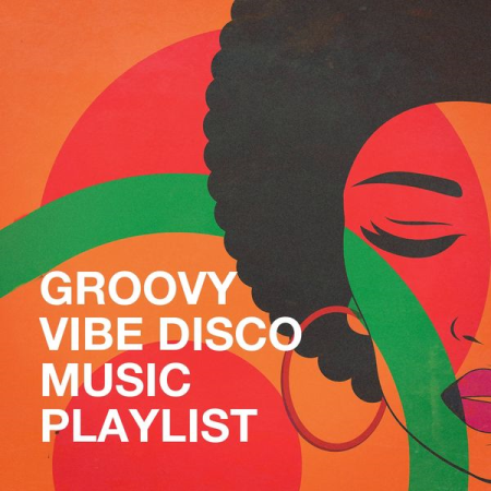 Various Artists   Groovy Vibe Disco Music Playlist (2020)