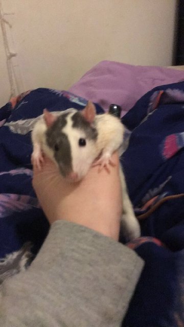 0BCA0D8D-223E-4837-8FC9-B6D9076EA68F