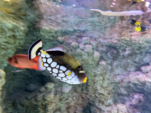 BE0-ED043-01-D7-43-EA-B8-C0-933-A0-BE926