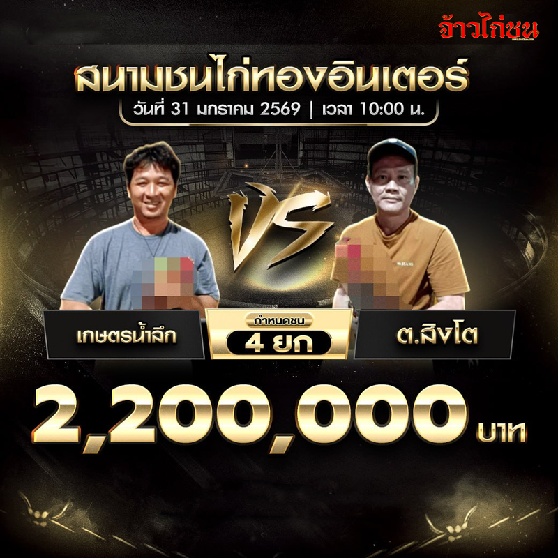 โปรแกรมไก่ชน คู่เด่น เกษตรน้ำลึก พบ ต.สิงโต สนามชนไก่ทองอินเตอร์ 31 มกราคม 2569