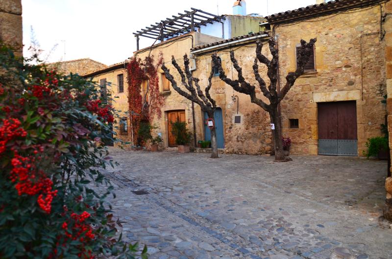 VULPELLAC-21-11-2017 - Gerona y sus pueblos-2016/2017 (9)