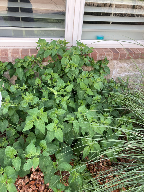 68FD269F-AC50-4E77-895E-D2307C5C7F21