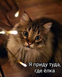 images (2)