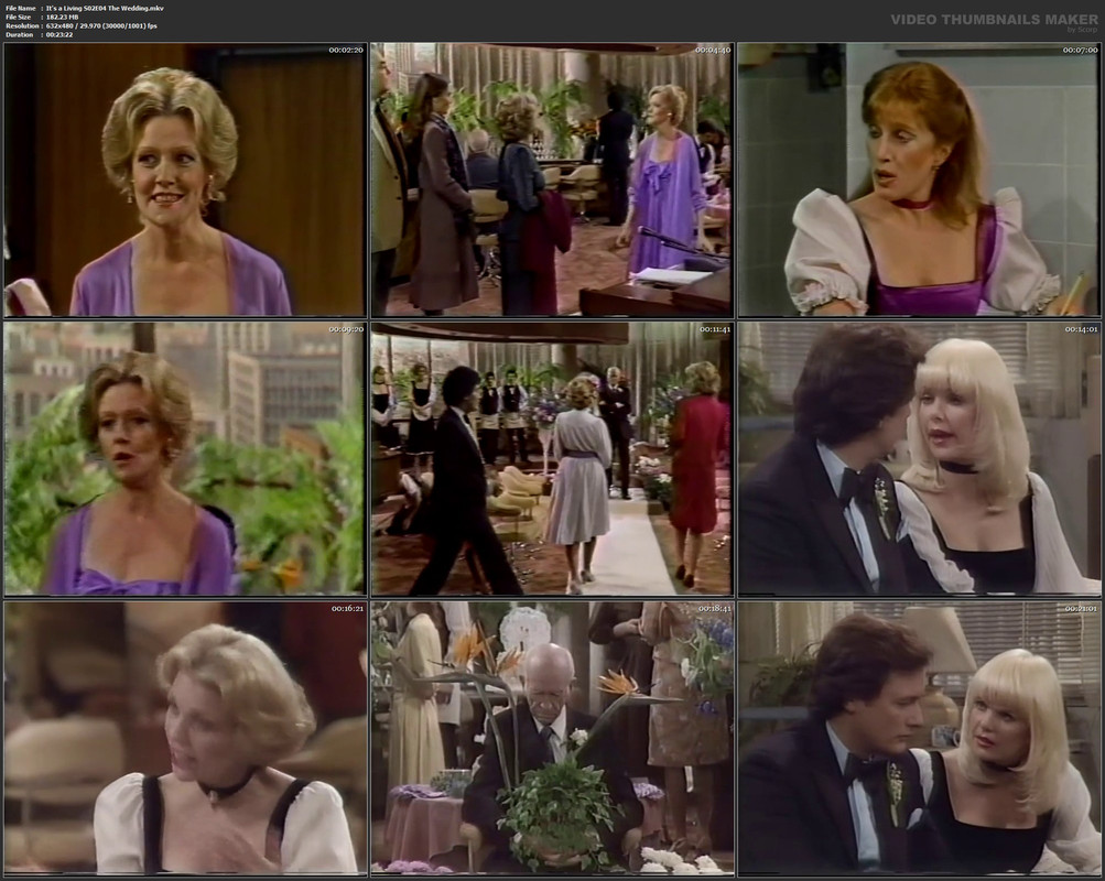 It's a Living S02E04 The Wedding.mkv