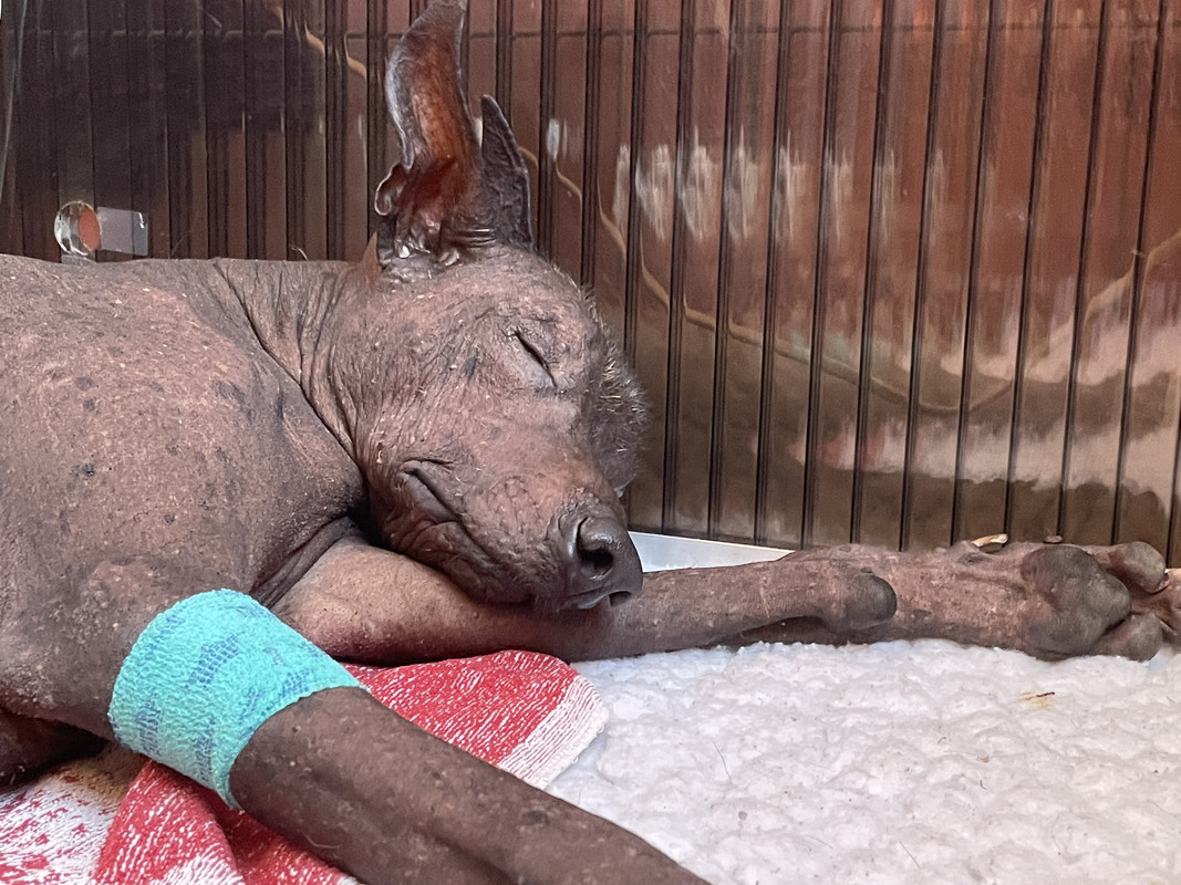 E5F92BC4-5EF4-44C3-AC9F-BEE607758625