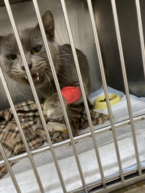 C608D40D-93CE-4226-86F2-F7444085BA4D