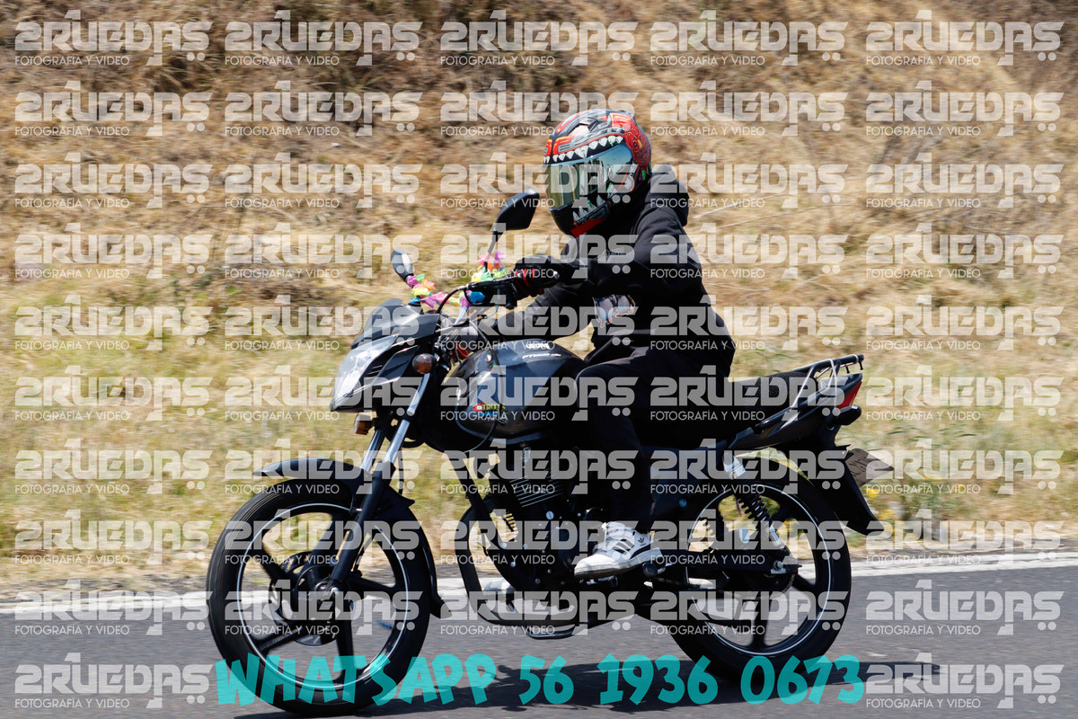 MG 1498 — Postimages